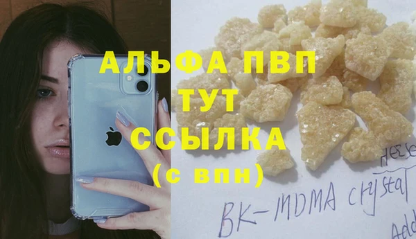 гидра Белокуриха