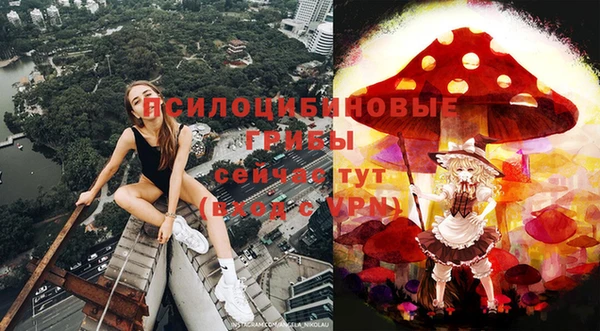 spice Балабаново