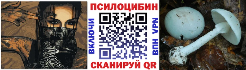 OMG вход  Глазов  Галлюциногенные грибы Cubensis 